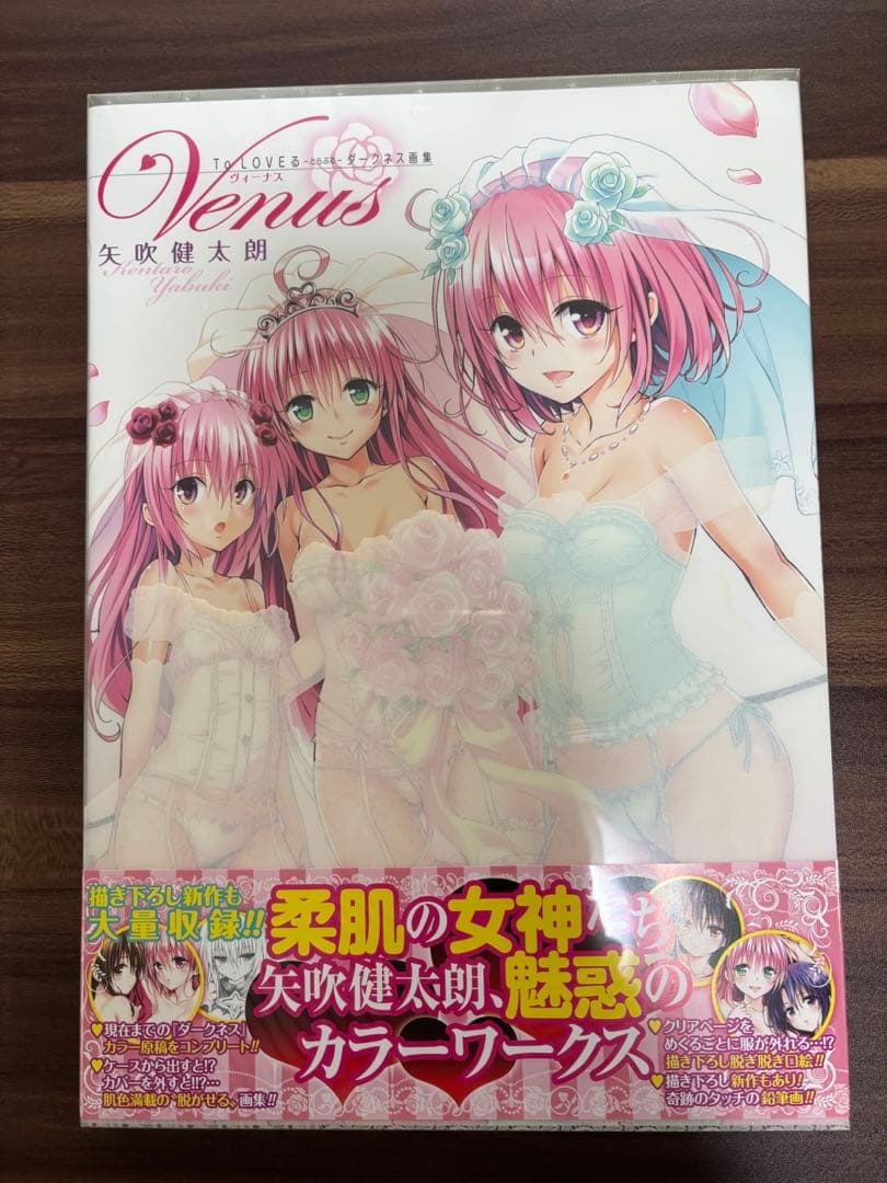 ToLOVEる　イラスト集他　ジャンプ流　セット