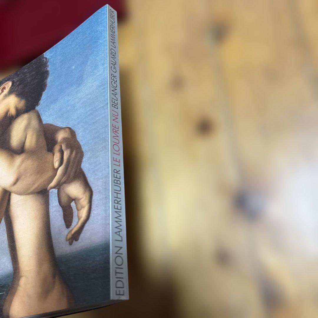 LE LOUVRE NU ルーブル美術館 洋書