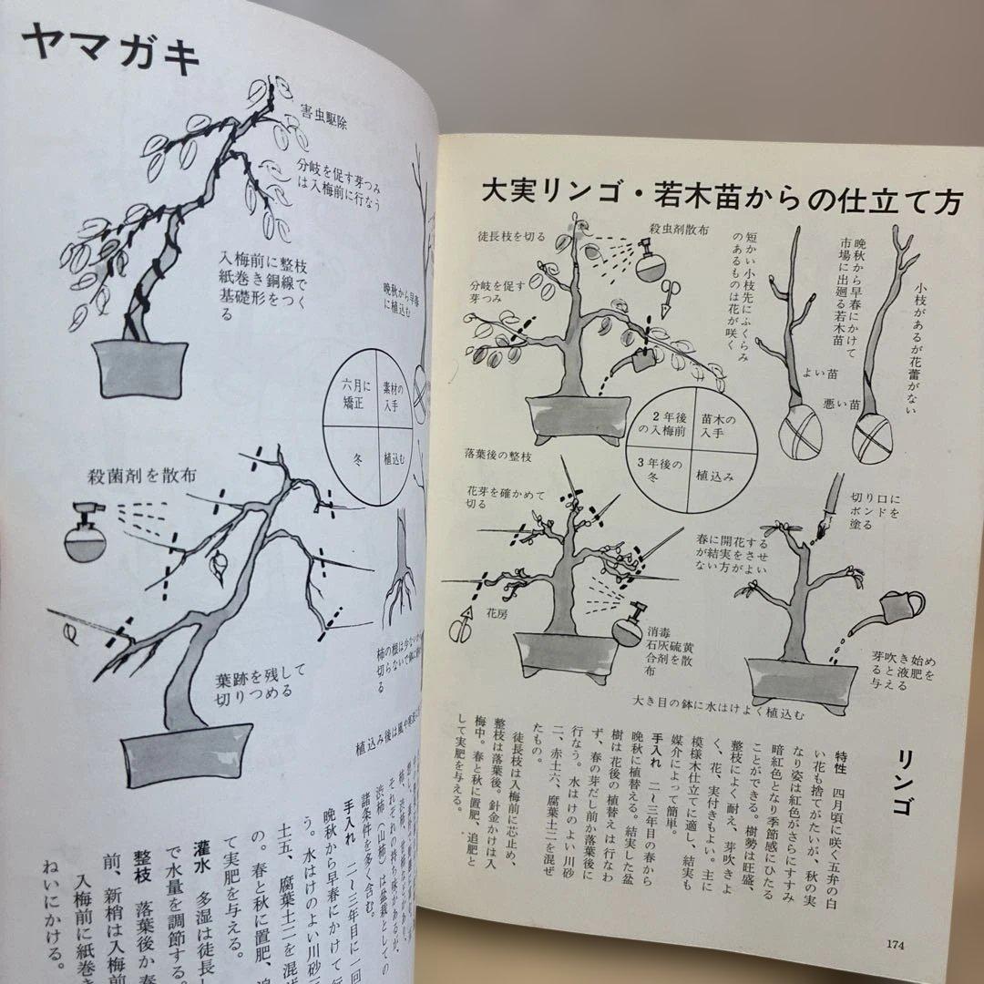 ★希少★ 絵説き 盆栽の手入れ
