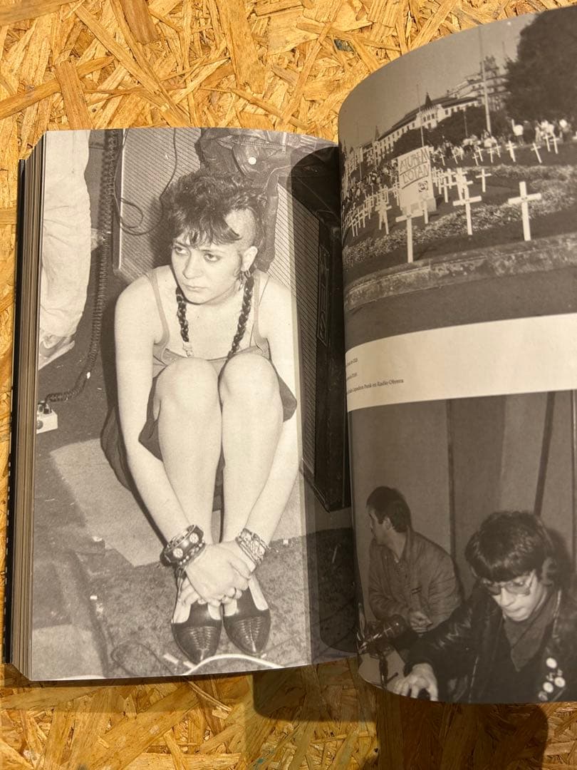 HARTO DE TODO スペインパンク/ハードコア文化 本、書籍、BOOK