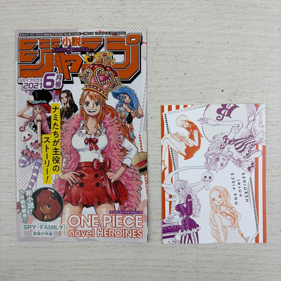 ONE PIECE novel HEROINES ワンピース ノベルヒロインズ