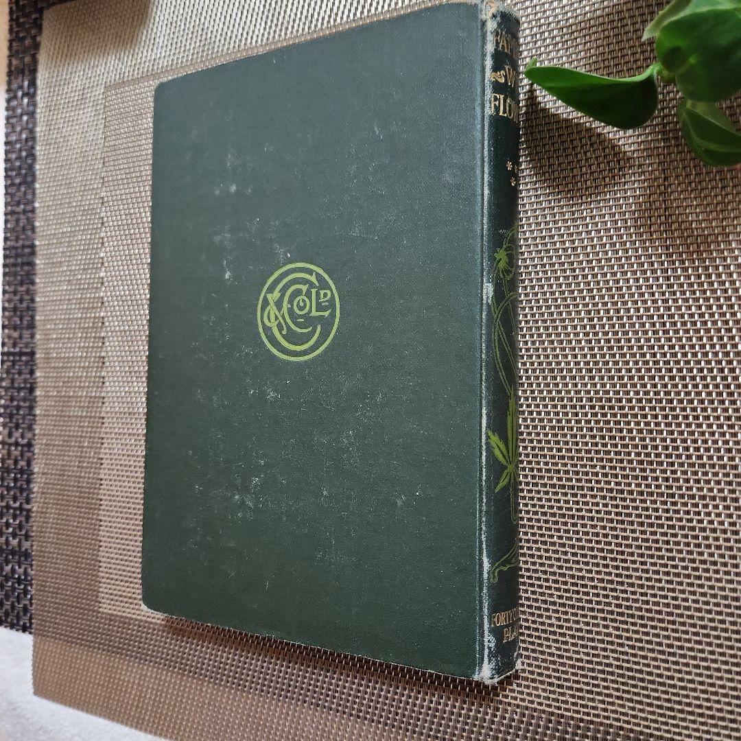植物図鑑　洋書　古書　アンティーク　Familar Wild Flowers⑤