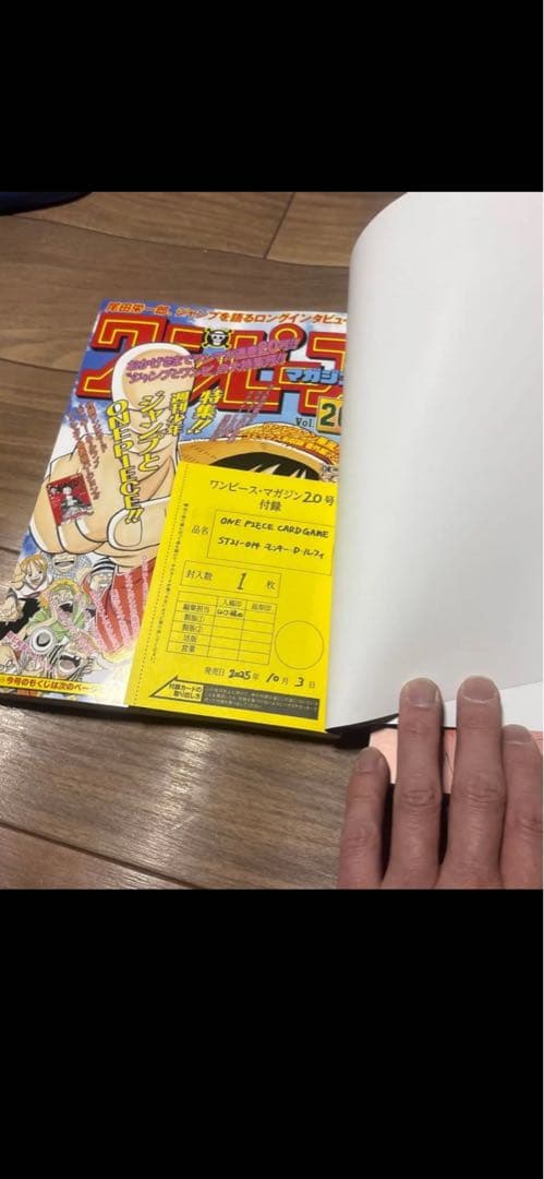 ONE PIECE 2023年特別号 付録付き