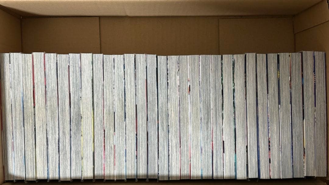 ゴールデンカムイ　1-29セット　おまけ:公式ファンブック付き