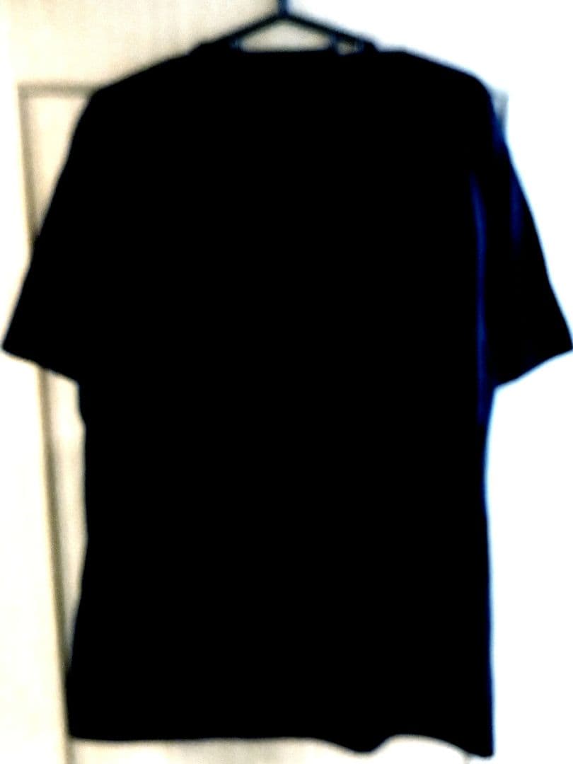 大谷翔平 Tシャツ Ｌサイズ デコルテポーズ　未使用