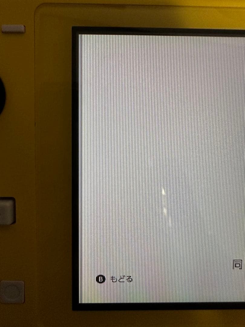 ジャンク品 Nintendo Switch Lite イエロー 本体のみ