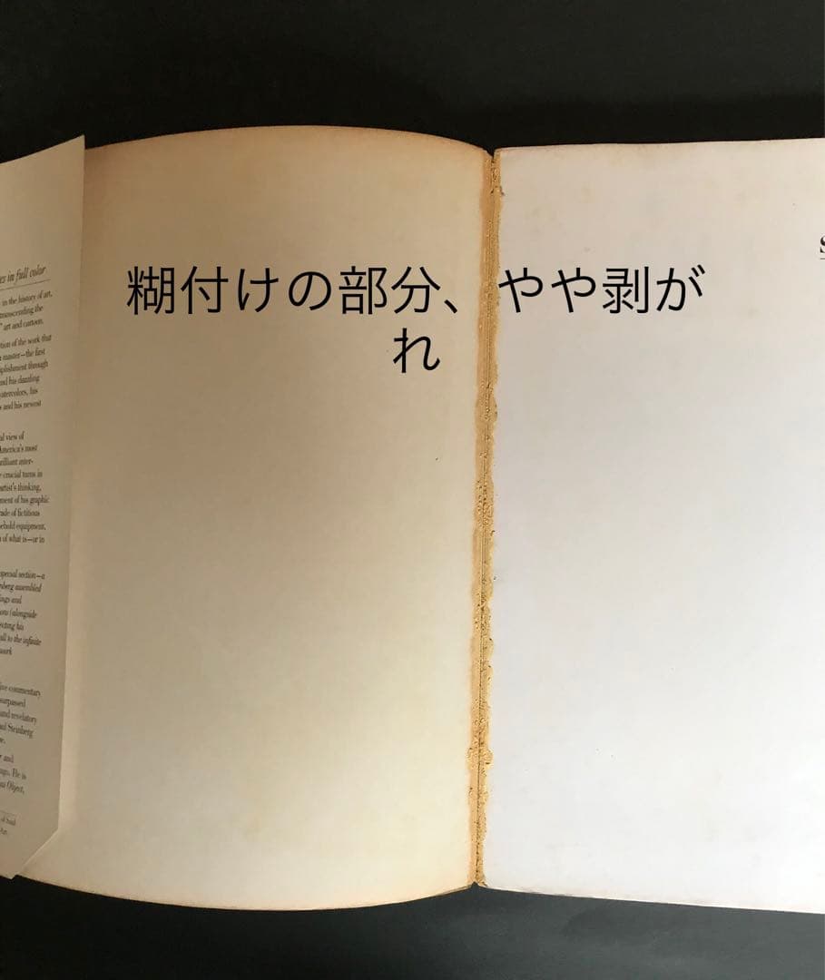 洋書　ソール・スタインバーグ作品集「Saul Steinberg」
