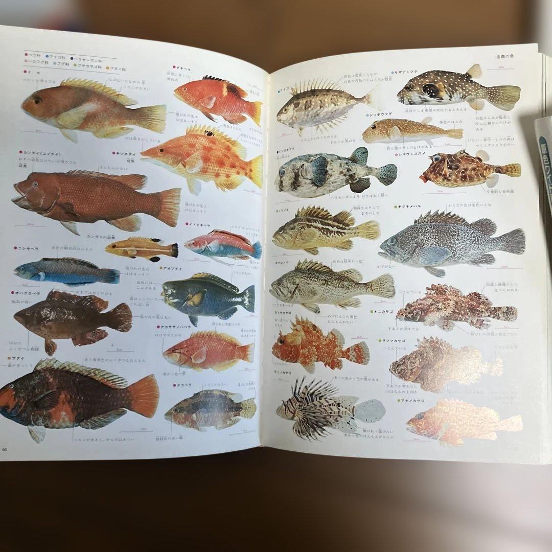学研　原色ワイド図鑑　20冊　＋　総索引1冊セット