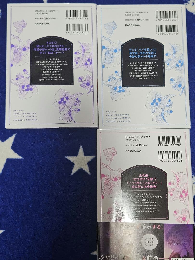 ある日、お姫様になってしまった件について　11巻セット