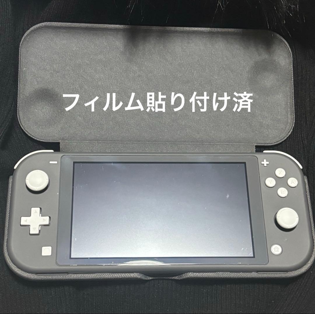 Nintendo Switch Lite グレー　専用ケース付き