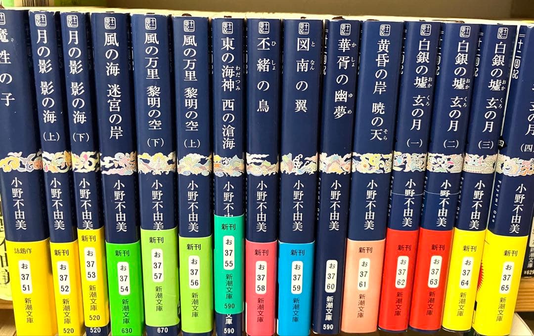 魔性の子 十二国記