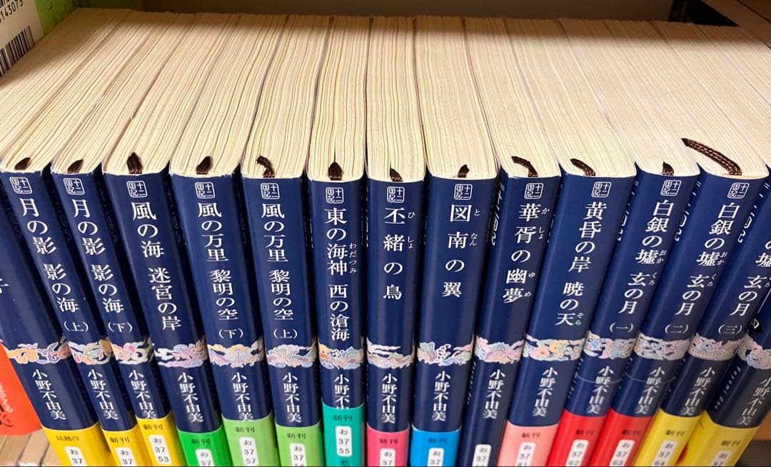魔性の子 十二国記