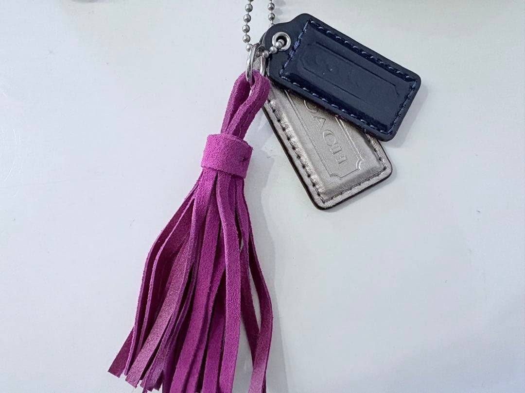 新品⭐︎COACH_ No.G1269-21216(マルチカラー)
