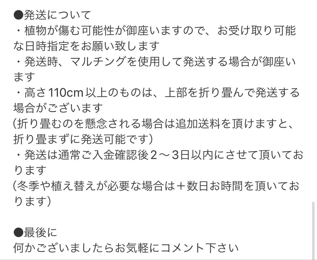 ［現品］42番　柱サボテン　鬼面角 ブランチ　7号　室内　おしゃれ　多肉植物