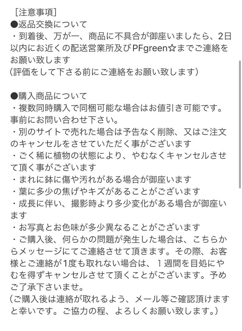 ［現品］42番　柱サボテン　鬼面角 ブランチ　7号　室内　おしゃれ　多肉植物
