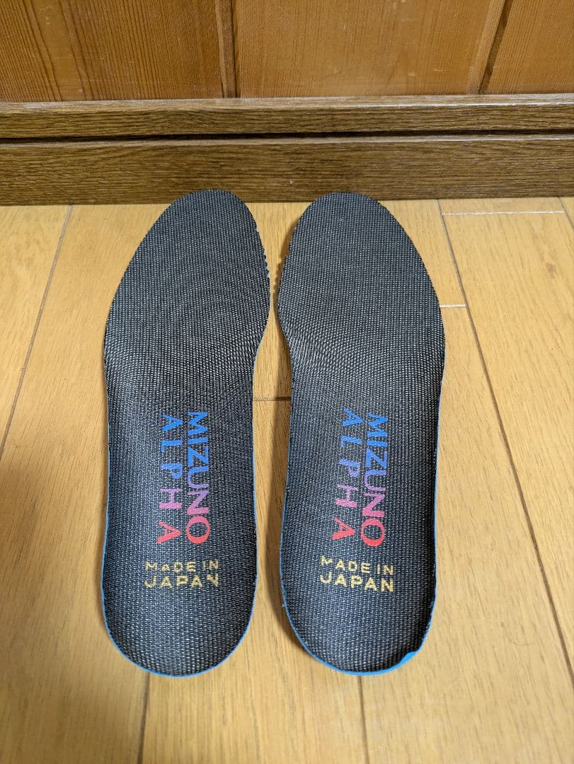 ミズノアルファ JAPAN 24.5センチ
