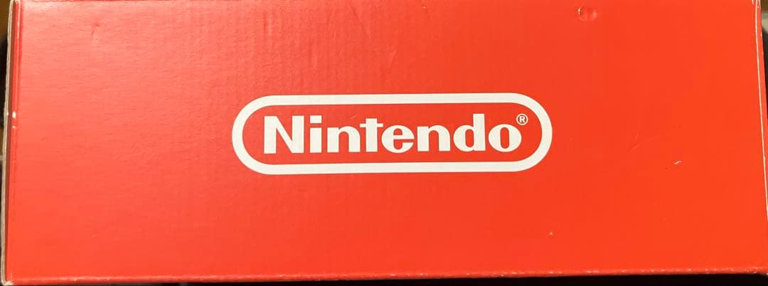Switch Lite ザシアン・ザマゼンタ BDSPver1.1.1 値下げ可