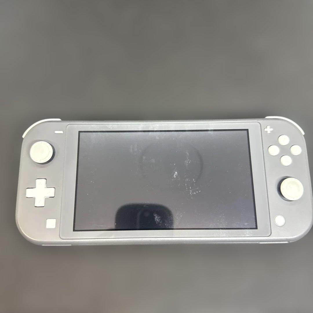 Switch ライト グレー