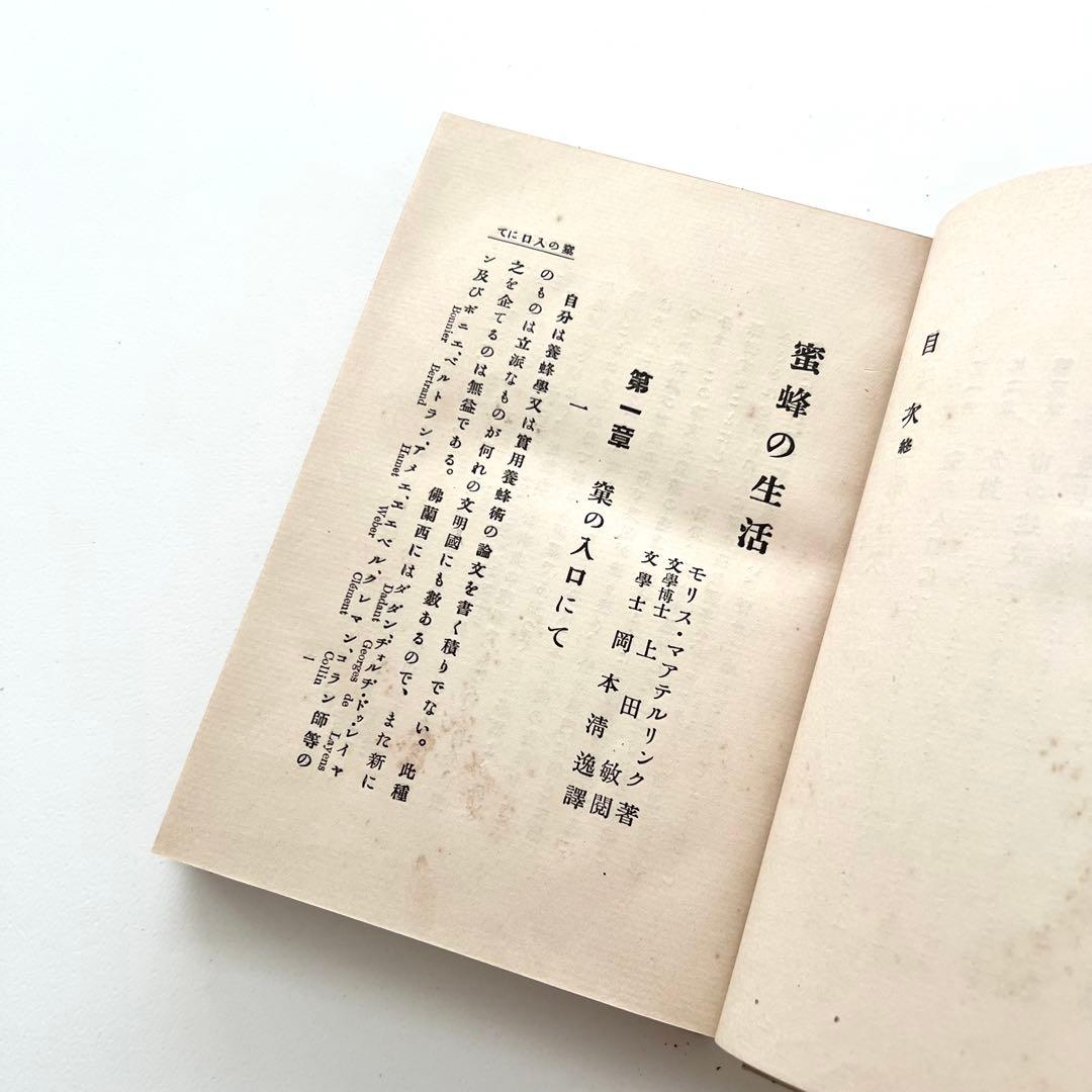 蜜蜂の生活　初版