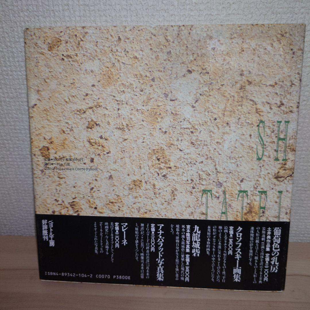 標本箱の少年 建石修志 画集