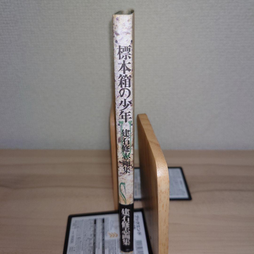 標本箱の少年 建石修志 画集