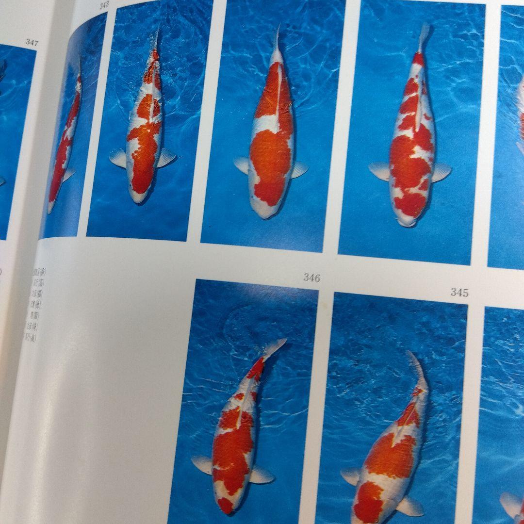 錦鯉品評会記念誌　鱗王大鑑
