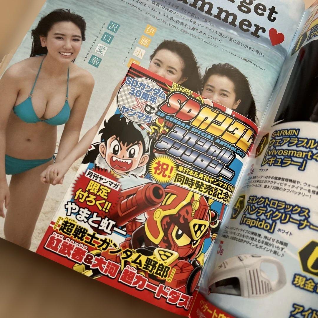 月刊ヤングマガジン 2019年10月号 攻殻機動隊 付録 やまと虹一 カードダス
