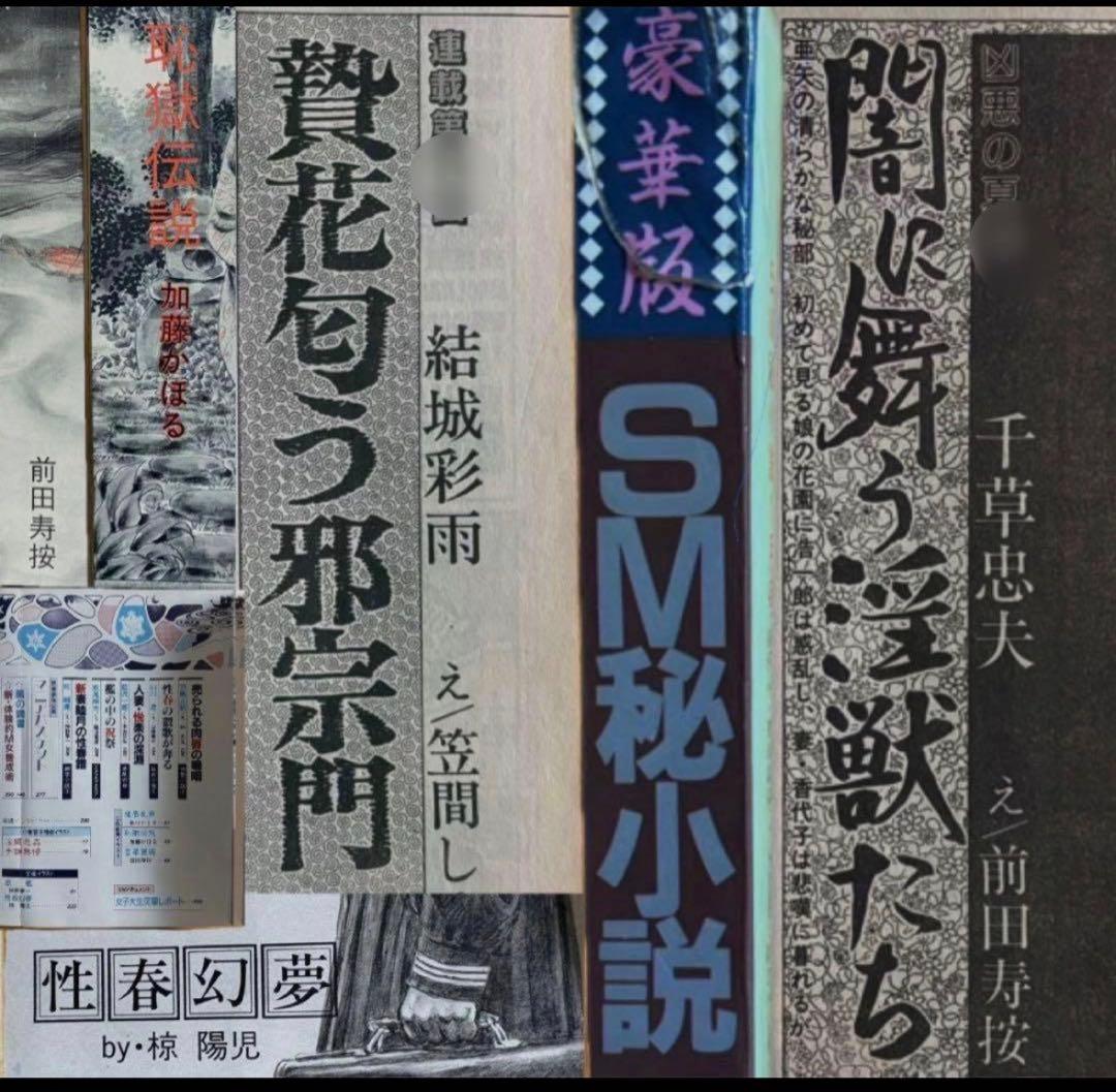 絶版】秘小説95年1月 千草忠夫 結城彩雨 　　　前田寿按 楡畑雄二 椋陽児 他