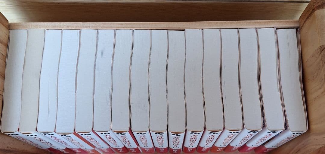 天は赤い河のほとり　文庫版１６冊セット