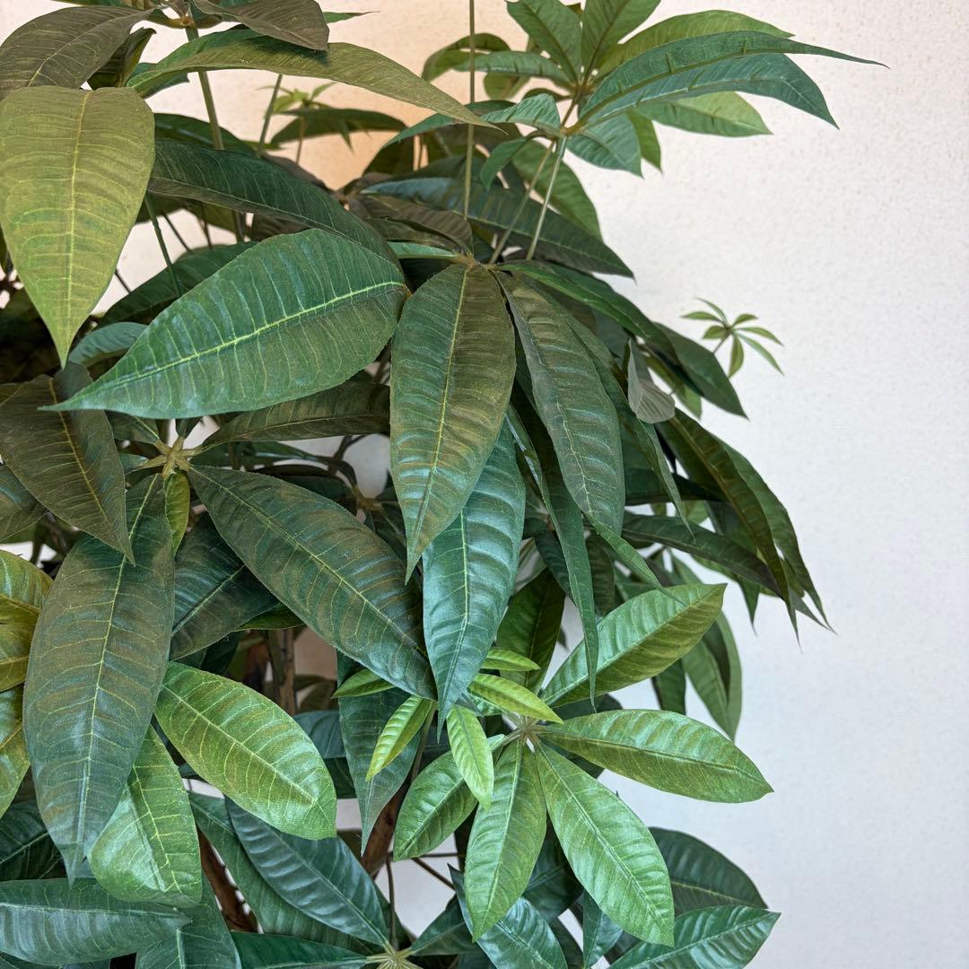 markzzz 大型フェイクグリーン 人工観葉植物 光触媒 170cm