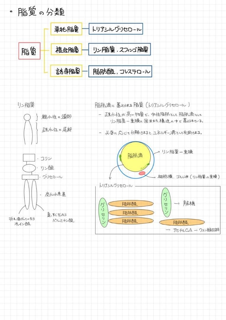 ※Rxxxma 2024改訂版 エッセンシャル細胞生物学 自作問題集