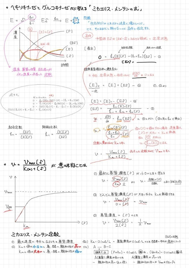 ※Rxxxma 2024改訂版 エッセンシャル細胞生物学 自作問題集