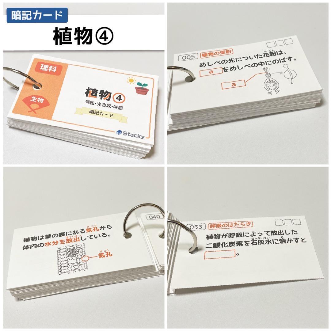中学受験 国語＆理科 暗記カード【MX028】