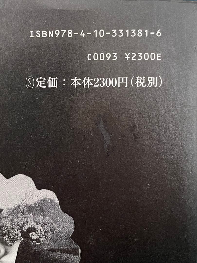領土 諏訪哲史　新潮社　ハードカバー