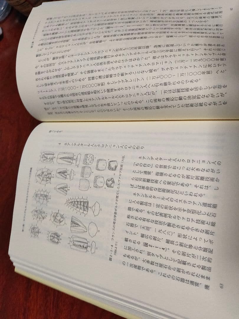 【希少品】人類の移動誌