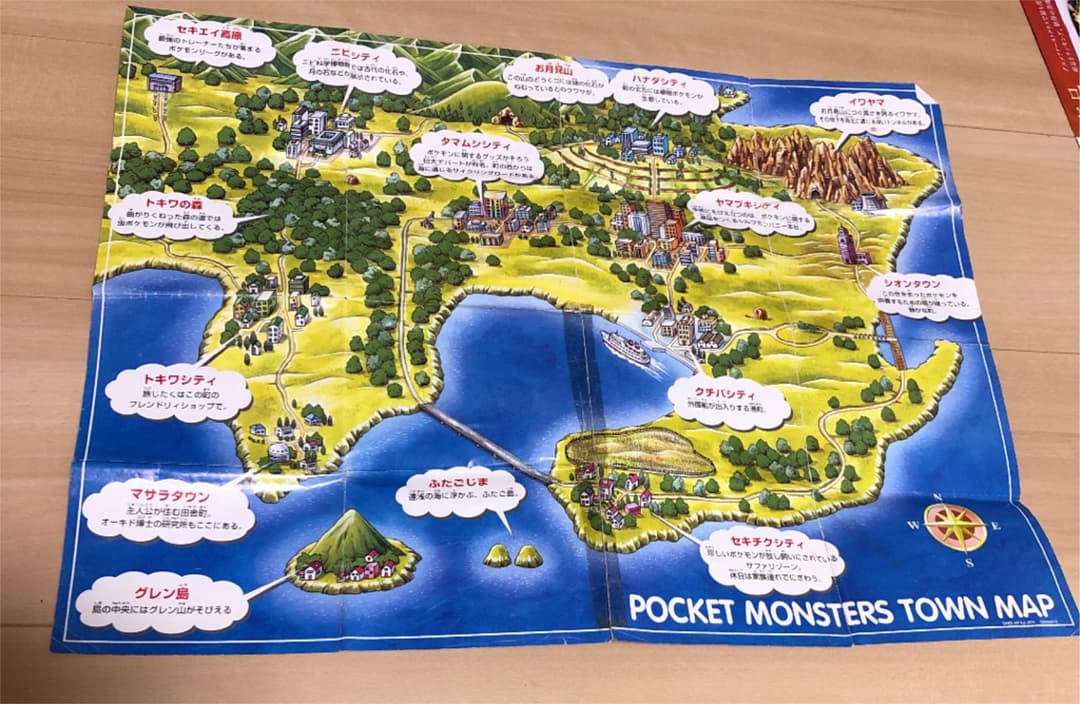 ポケモン　攻略本　最強トレーナーズ手帳 ポケモンデータレベル100