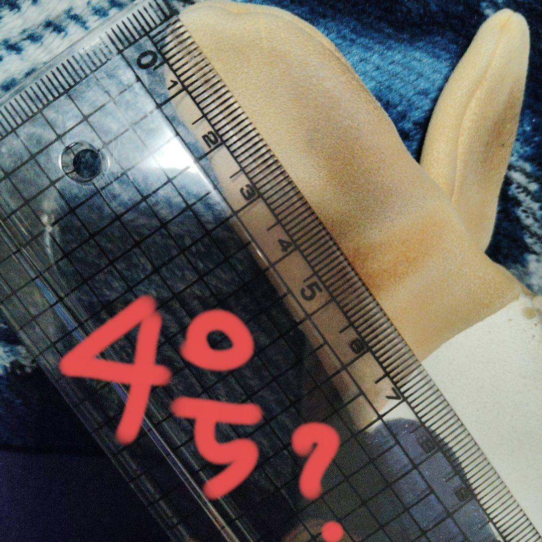 弓道　かけ　弽