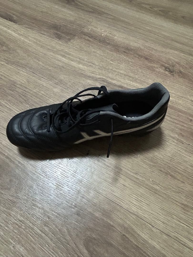 シューズ ASICS DS LIGHT PRO BLACK/PURE SILVER