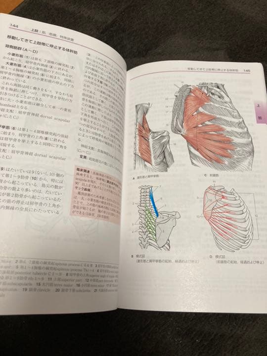 分冊解剖学アトラス Ⅰ (運動器)