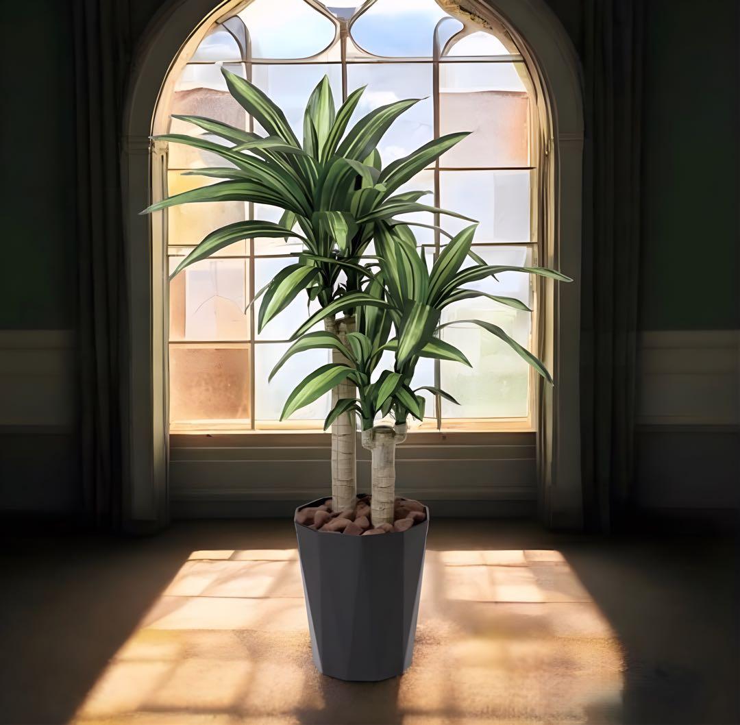 光触媒　人工観葉植物　フェイクグリーン　マッサン　幸福の木 高さ 1.1m