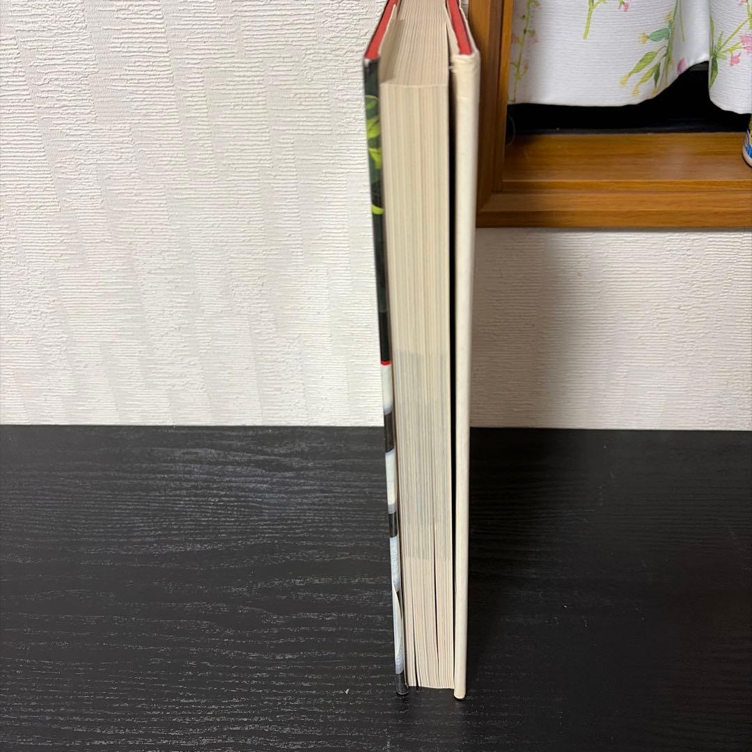 洋書 The Natural Cuisine of es Blanc