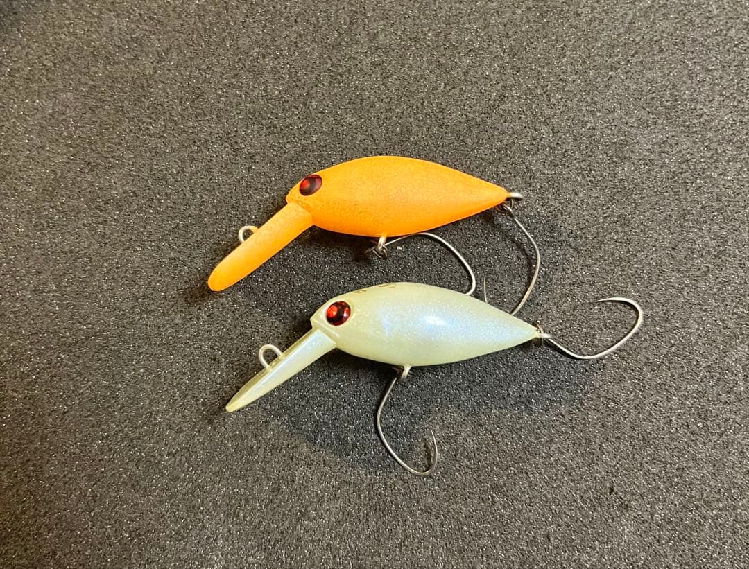【レア】　モカDRSS グローン、三ヶ日みかん