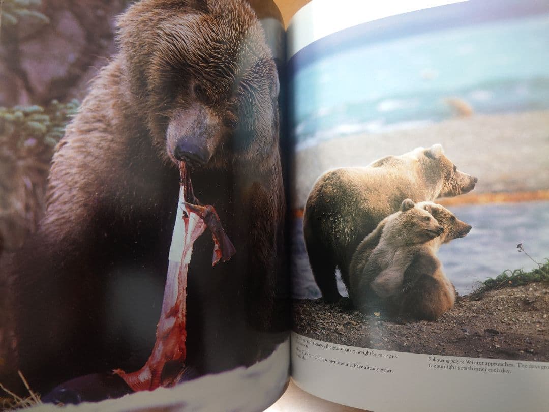 【美品】星野道夫　GRIZZLY & MOOSE 写真集2冊セット