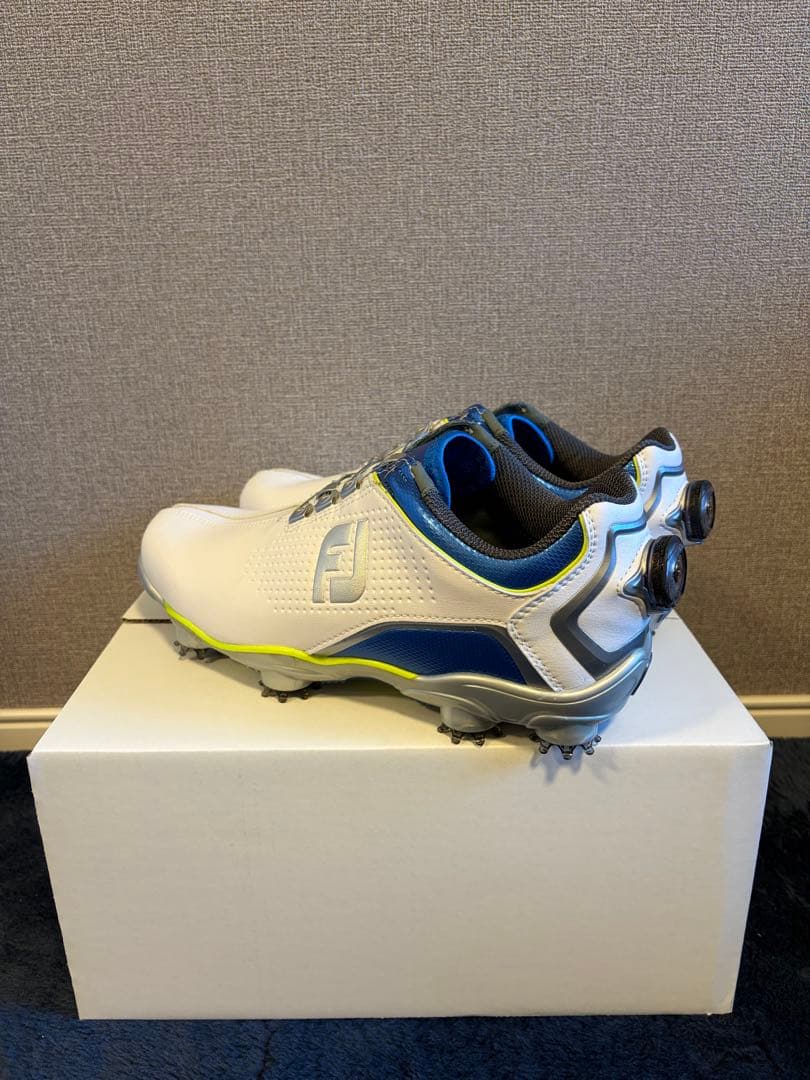 FootJoy ゴルフシューズ メンズ 25cm