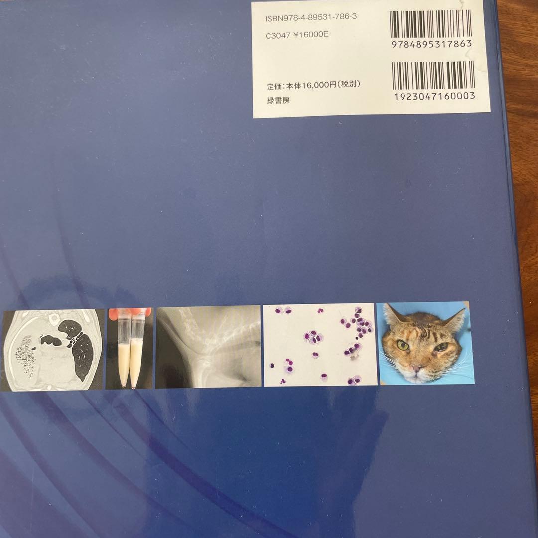 犬と猫の呼吸器診療