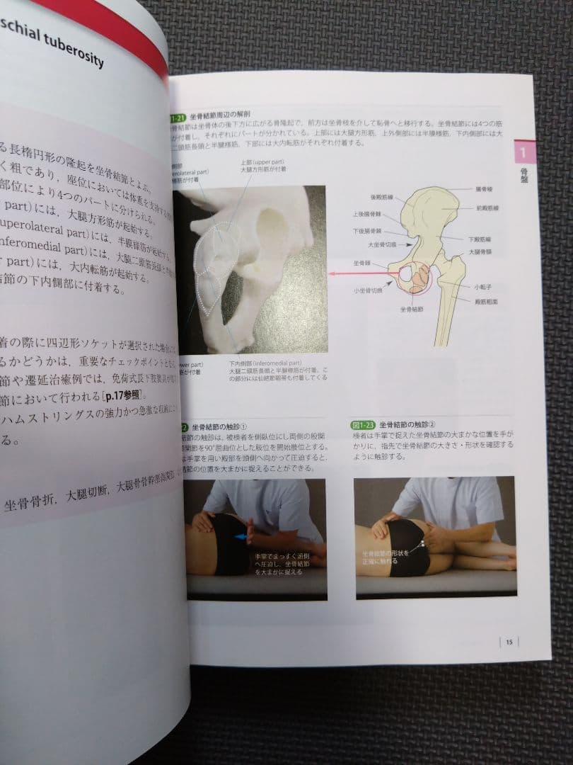 ケアマネ　介護士　看護師　触診技術第2版　フルカラー　理学療法士　作業療法　PT