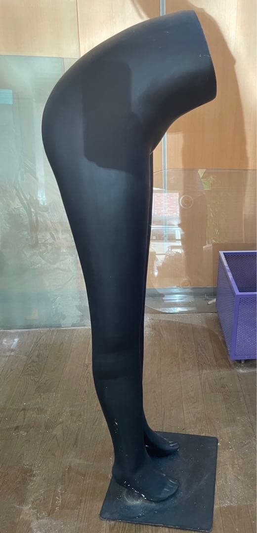黒　マネキン　婦人服　パンツ専用