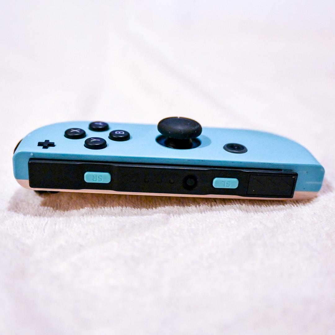 【美品】Nintendo Switch あつまれ どうぶつの森セット
