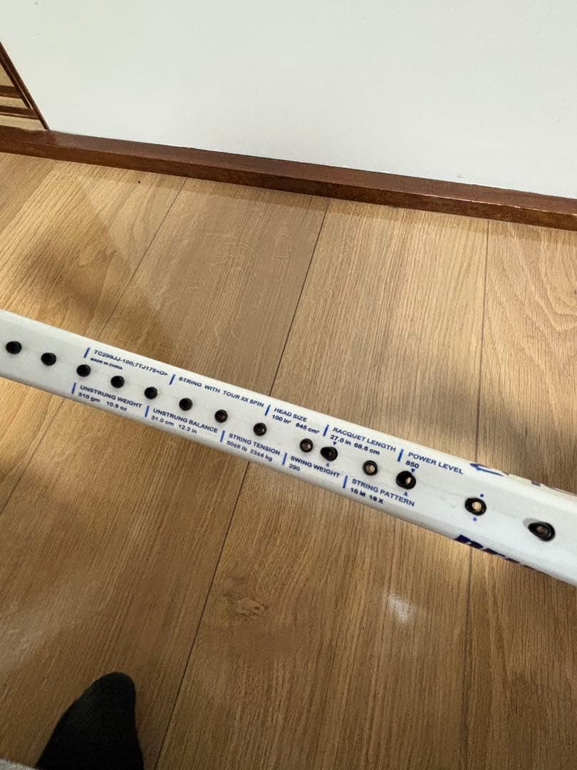 プリンス　ツアー100