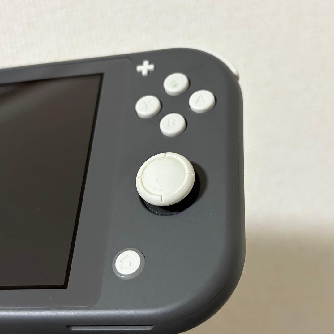 【doorzo様】Nintendo Switch Lite グレー 充電器付き